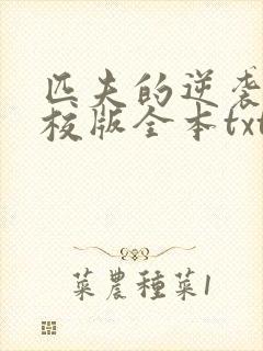 匹夫的逆袭 精校版全本txt