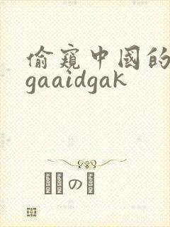 偷窥中国的女人gaaidgak