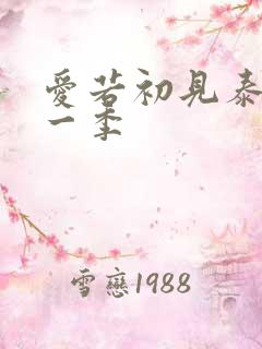 爱若初见泰剧第一季