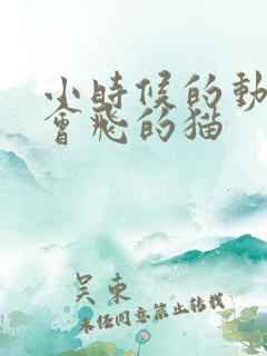 小时候的动画片会飞的猫