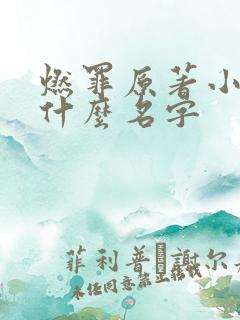 燃罪原著小说叫什么名字