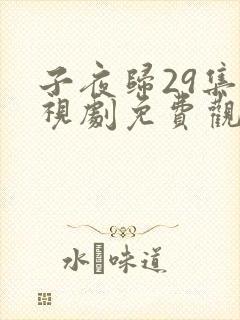 子夜归29集电视剧免费观看全集高清