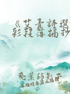 《艾青诗选》精彩段落摘抄读后感赏析
