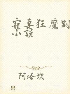 宠妻狂魔别太坏小说