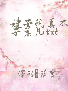 嫂子我真不是傻子叶凡txt