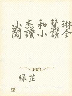 小杰和慧琳在线阅读小说全文