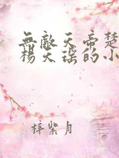 无敌天帝楚剑秋杨天瑶的小说