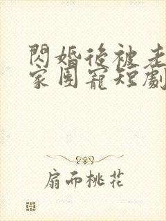 闪婚后被老公全家团宠短剧一口气看完