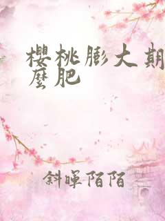 樱桃膨大期用什么肥