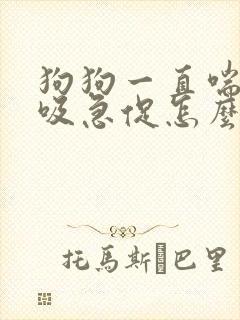狗狗一直喘气呼吸急促怎么回事