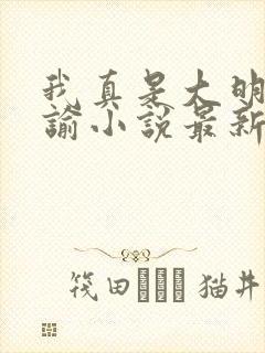 我真是大明星尝谕小说最新