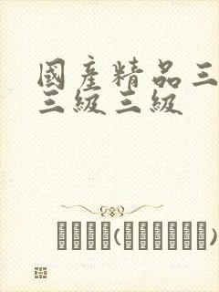 国产精品三级a三级三级