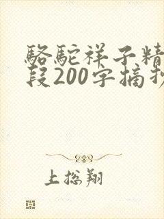 骆驼祥子精彩片段200字摘抄