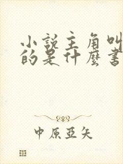 小说主角叫林凡的是什么书