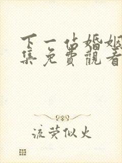 下一站婚姻剧全集免费观看