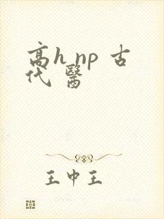 高h np 古代 医