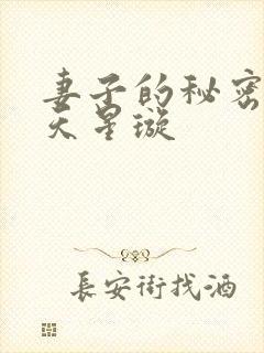 妻子的秘密 九天星璇