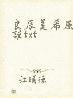 良辰美希原著小说txt