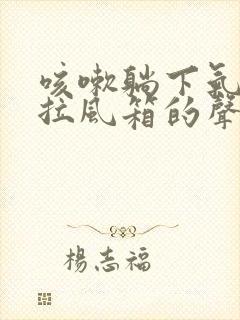 咳嗽躺下气管有拉风箱的声音