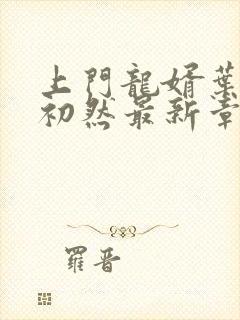 上门龙婿叶辰萧初然最新章节列表