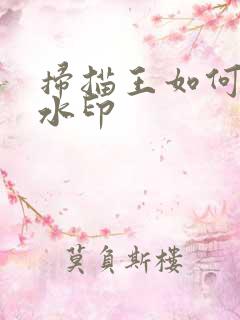 扫描王如何去除水印