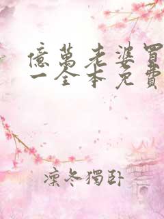 亿万老婆买一送一全本免费下载