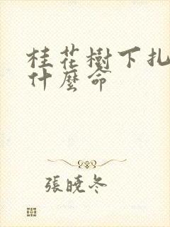 桂花树下扎根是什么命