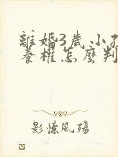 离婚3岁小孩抚养权怎么判定