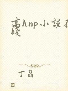 高hnp小说在线