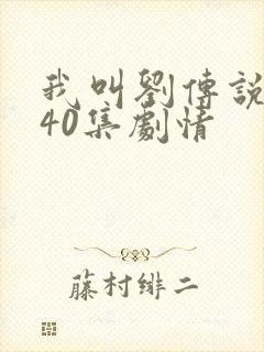 我叫刘传说1—40集剧情