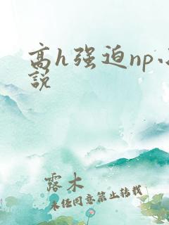 高h强迫np小说