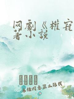 网剧《权宠》原著小说
