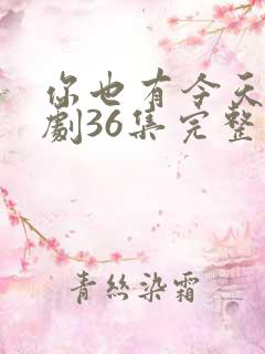 你也有今天电视剧36集完整版