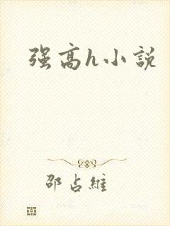 强高h小说