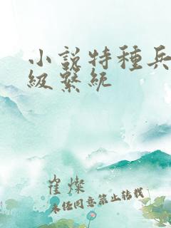 小说特种兵之超级系统