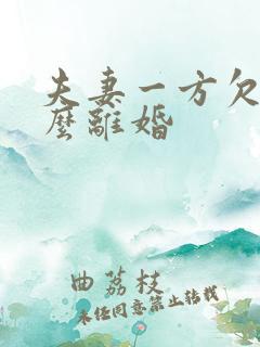 夫妻一方欠债怎么离婚