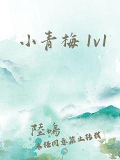 小青梅 1v1