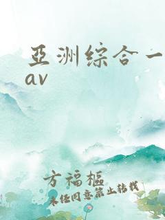 亚洲综合一区二av