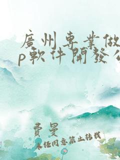 广州专业做app软件开发公司