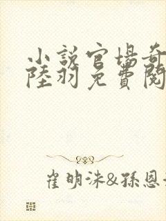 小说官场奇才 陆羽免费阅读