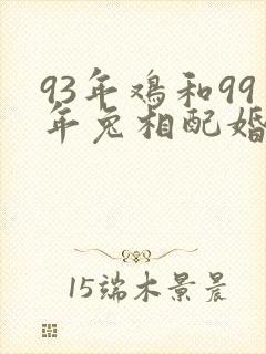 93年鸡和99年兔相配婚姻如何