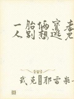 一胎俩宝老婆大人别想逃免费阅读