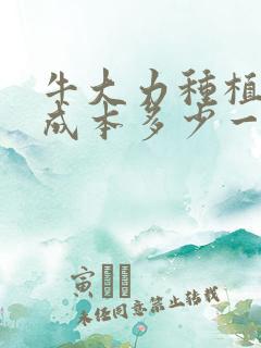 牛大力种植真实成本多少一亩