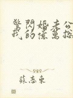 惊闪婚老公竟是我的亿万总裁