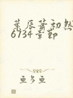 叶辰萧初然最新6734章节