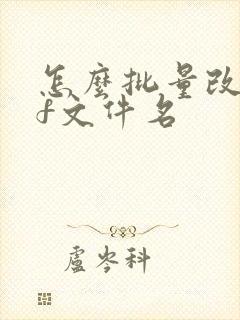 怎么批量改pdf文件名