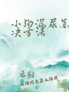 小狗漏尿怎么解决方法
