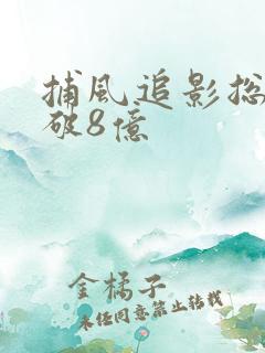捕风追影总票房破8亿