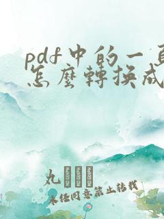 pdf中的一页怎么转换成word