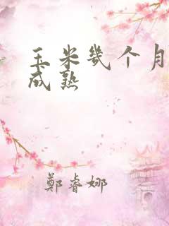 玉米几个月可以成熟